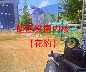 暗区突围辅助-暗区内核【花豹】